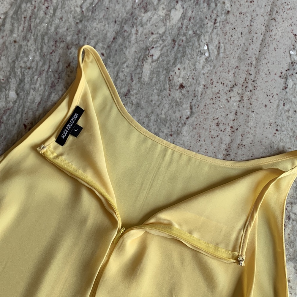 Alice Collection Sleeveless Dressy Top - Picture 7 of 10